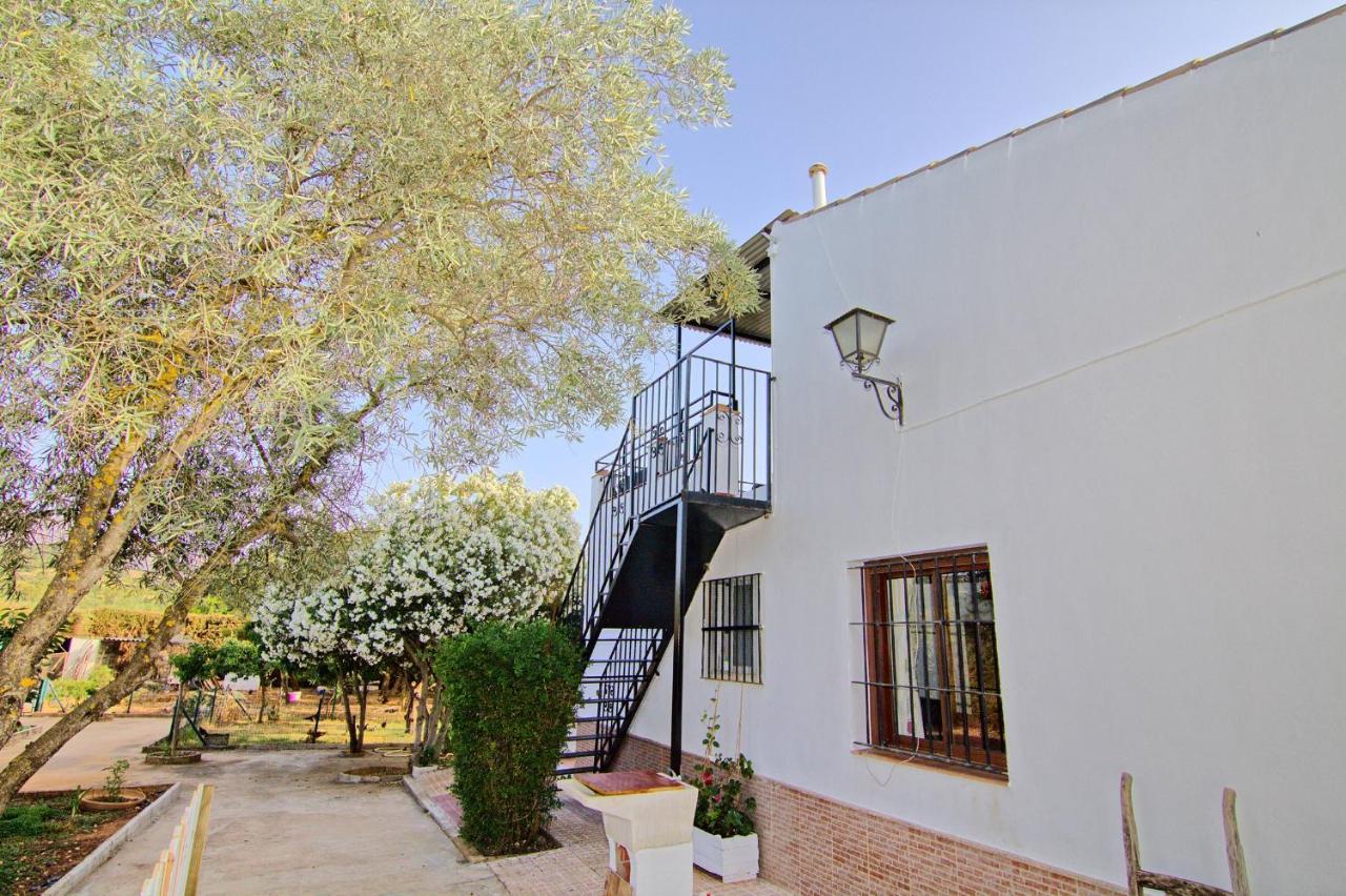 Rural Vainilla Appartement